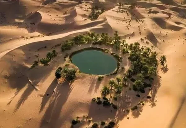 Bahariya Oasis