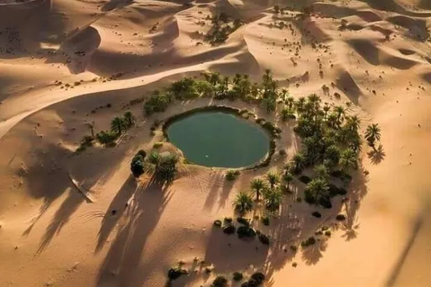 Bahariya Oasis